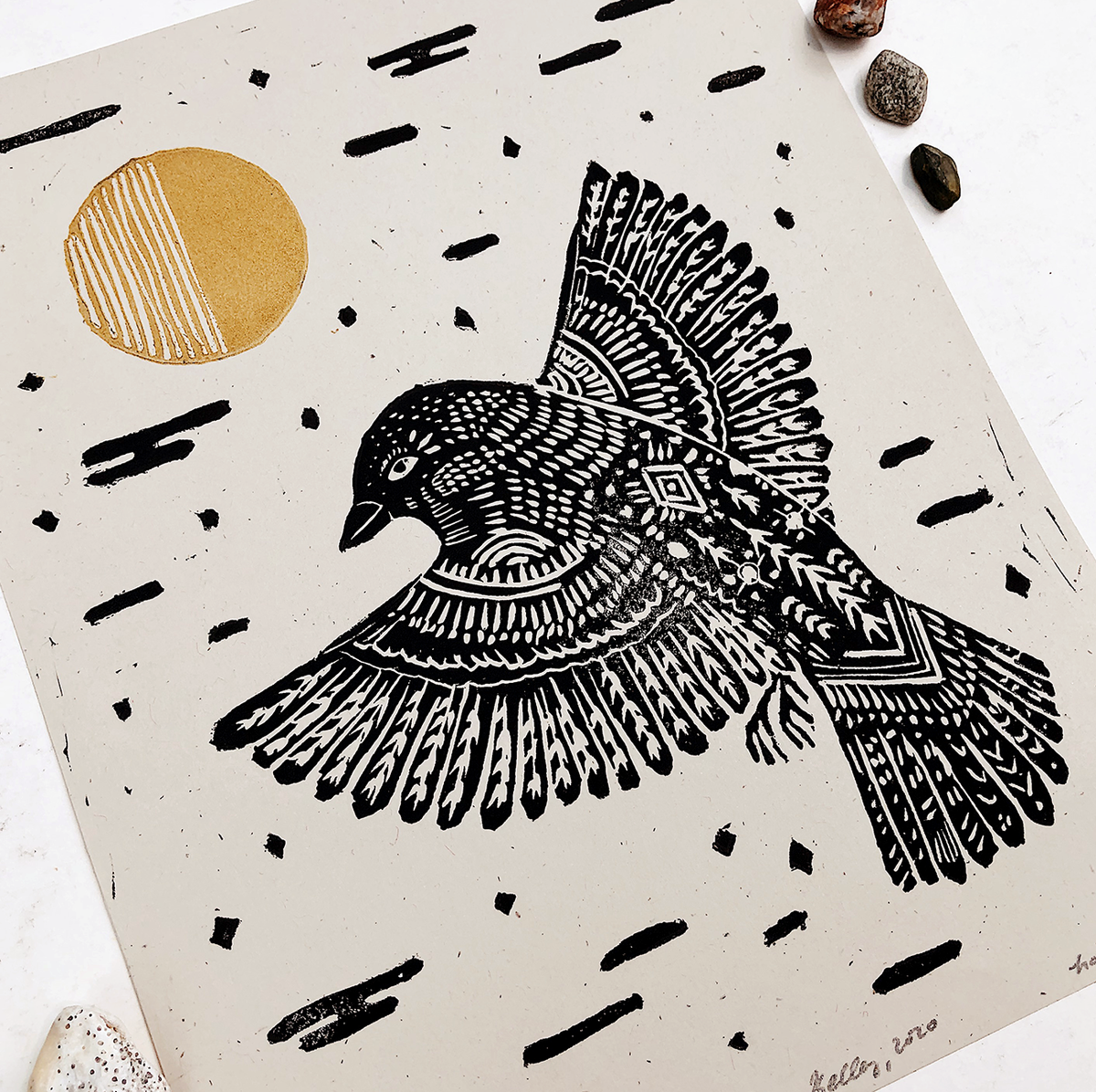 Sparrow Scratchboard Fine Art Print